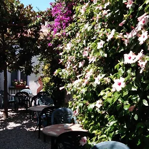 Mitus , Canet De Mar Hiszpania